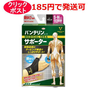 a oeR[ T|[^[ eѐp ߁`ӂ / ӂ`傫 ubN 1