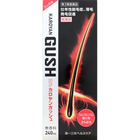 【第3類医薬品】第一三共ヘルスケア NFカロヤンガッシュ 240ml