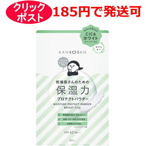 BCL  ێ̓veNgpE_[ uCgVJ 10g