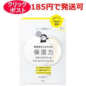 BCL  ێ̓XLPAo[ 17g ωn