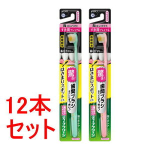 sZbg̔t ԉ fB[vN[nuV@ԃv~A@RpNg@炩×12Zbgyz