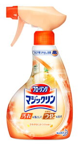 ԉ@t[O}WbN@oXv[@{́@(400mL)