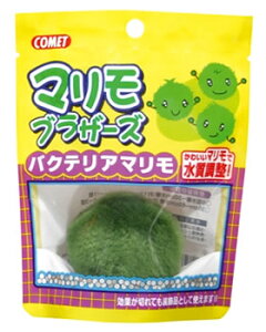 CgXC@Rbg@}uU[Y@oNeA}@(1)@pANZT[