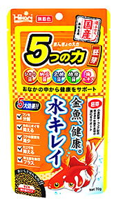 L[@Ђ@񂬂̂@5̗́@͂@(70g)@@GT