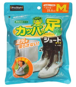 vX^bt gїp Jbp̑V[g M P169 (1Zbg) ԗpi