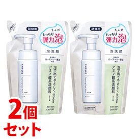 《セット販売》　ちふれ化粧品 泡洗顔S つめかえ用 (180mL)×2個セット 詰め替え用 CHIFURE