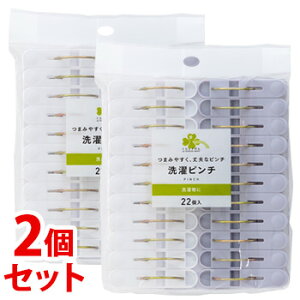 sZbg̔t@炵Y s` (22)×2Zbg oT~