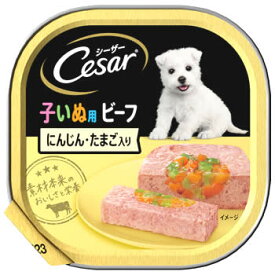 マースジャパン シーザー トレイ 子いぬ用 ビーフ にんじん・たまご入り (100g) ドッグフード ウェット