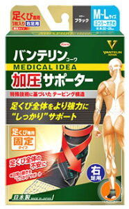 a oeR[ T|[^[ ѐp Œ^Cv M`LTCY Ep ubN (1) 