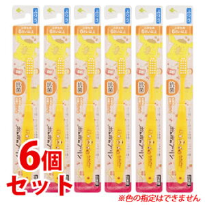 sZbg̔t@炵Y ||v nuV wp 6ˈȏ ӂ B-30452 (1{)×6Zbg qǂpuV