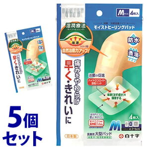 sZbg̔t@\ t@~[PA FC CXgq[Opbh MTCY (4)×5Zbg nChRCh Jnp@yǗË@z