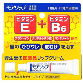 【第3類医薬品】資生堂 モアリップN (8g) リップクリーム 口唇炎 口角炎治療薬