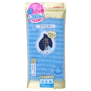 LN AX^[  (1) u[ oXpi