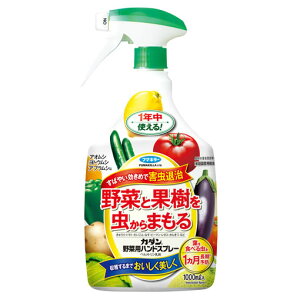 フマキラー カダン 野菜用ハンドスプレー (1000mL) 家庭園芸用 殺虫剤 アオムシ ヨトウムシ アブラムシ