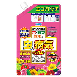 t}L[ J_vXDX GRpE` (850mL) ƒ뉀|p E  aC AuV