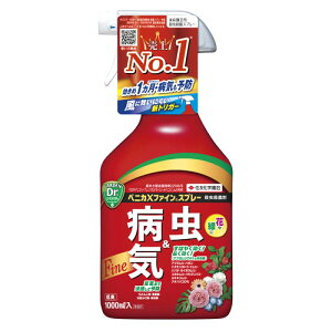 ZFw| xjJXt@C Xv[ (1000mL) E Eۍ K[fjOpi