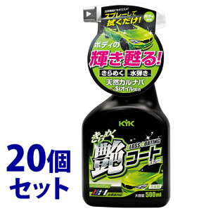sZbg̔t@É͖iH ߂R[gXv[ 22-089 (500mL)×20Zbg bNX ԗpi J[pi eiX@yz@ysmtb-sz