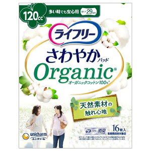 j`[ Ct[ ₩pbh I[KjbNRbg łSp 120cc (16) AƂpbh APApbh yx֗pi ~@yÔTΏەiz