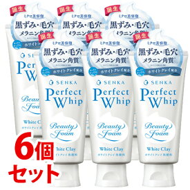 《セット販売》　ファイントゥデイ 洗顔専科 パーフェクトホイップ ホワイトクレイ (120g)×6個セット 洗顔フォーム