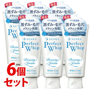 《セット販売》 ファイントゥデイ 洗顔専科 パーフェクトホイップ ホワイトクレイ (120g)×6個セット 洗顔フォーム