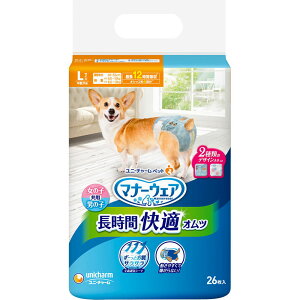 j`[ ybgPA }i[EFA ԉKIc jp LTCY (26) p Lp ނ