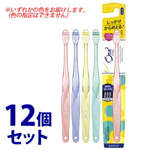 �s�Z�b�g�̔��t�@�T���X�^�[ �I�[���c�[�~�[ �n�u���V �X�p�C�����L���b�` �ӂ� (1�{)×12�Z�b�g ���u���V Ora2 me