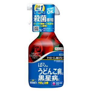 ZFw| }C[Y EۃXv[ (950mL) Eۍ K[fjOpi