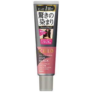 z[[ VG J[g[gg ^b`p AbVubN (140g) 