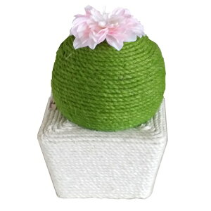 ybgAC ܂ƂT{e (1) Lp߂Ƃ ܂݂ ڂĂ