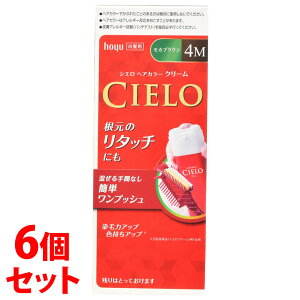 sZbg̔t@z[[ VG wAJ[EX N[ 4M:JuE (1)×6Zbg pwAJ[@y򕔊Oiz