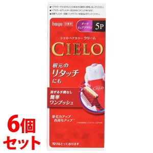 sZbg̔t@z[[ VG wAJ[EX N[ 5P:_[NsAuE (1)×6Zbg pwAJ[@y򕔊Oiz