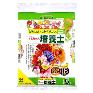 Ԃ Ԃ|{y (5L) K[fjOpi