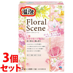 sZbg̔t@A[X A ONPO t[V[ 4×3 (12)×3Zbg ܁@y򕔊Oiz