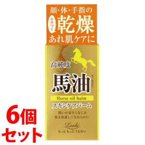 sZbg̔t@RXebNX[h bVCXgGCh n ICo[ N (68mL)×6Zbg ÉEw o[