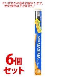 sZbg̔t@CI DENT }LV} MS (1{)×6Zbg uV