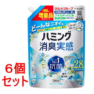 sZbg̔t ԉ n~OL@zCg\[v̍@߂p@cnG葝ʕi (1050mL)×6Zbg