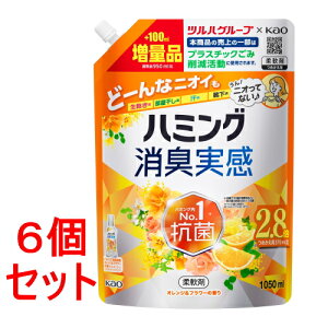 sZbg̔t ԉ n~OL@IWt[̍@߂p@cnG葝ʕi (1050mL)×6Zbg