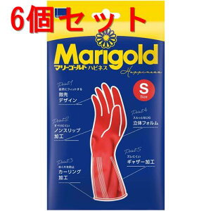 《セット販売》 オカモト マリーゴールド ハピネス (S)×6個セット