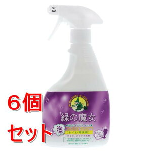 sZbg̔t ~}XN| ΂̖ A^Cv gC (450ml)×6Zbg hCc܂ nɂ₳ ֊  tXv[