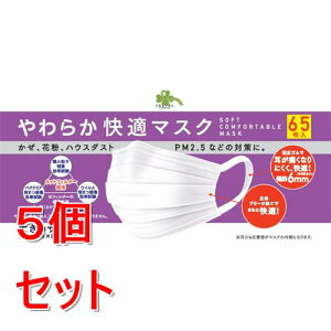 《セット販売》 くらしリズム やわらか快適マスク 大きめ (65枚)×5個セット