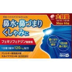 【第2類医薬品】アレグラFXと同じフェキソフェナジン塩酸塩を同量配合！日野薬品工業 スカイブブロンHI 60錠