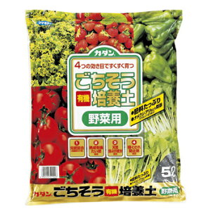 z̎yȖؗp|{yIt}L[ J_ |{y ؗp@5L