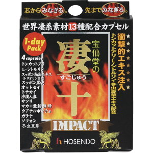 哰 哰̐\iイj IMPACT 1-daypbN 4