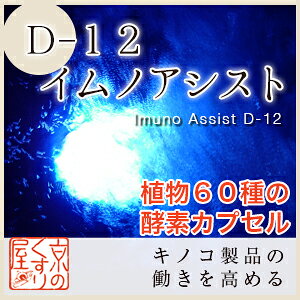 D-12 �C���m�A�V�X�g�i2��×45��j