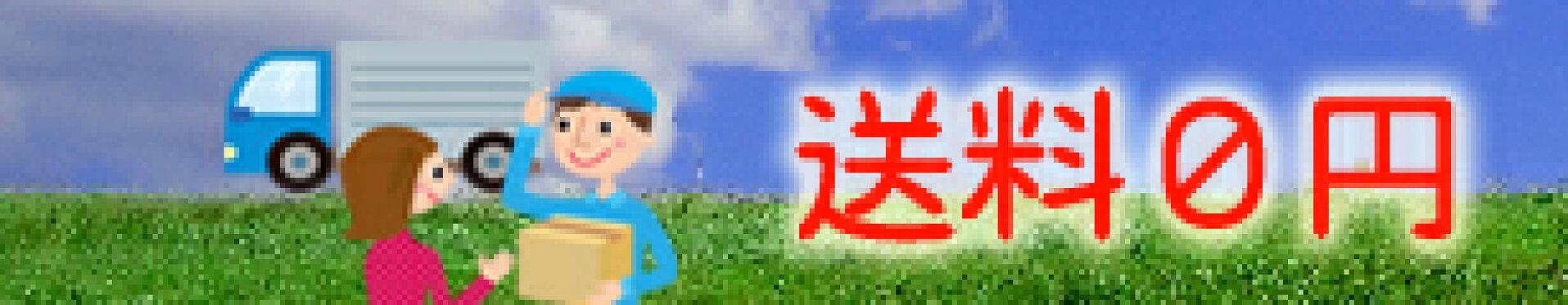 送料無料