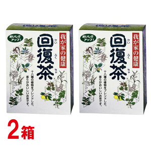 �䂪�Ƃ̌��N �񕜒��@�i10g×130��j×2��