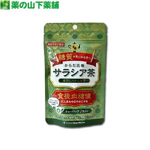 y@\\Hiz炾TVA قngM 3.2gx7 eB[obO