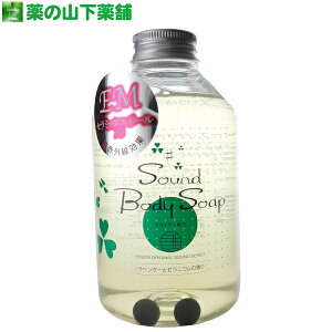 TEh{fB\[v 500g EMZ~bNX{[ Erson Sound Body Soap