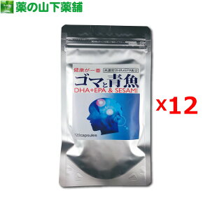 yzS}Ɛ 120@DHAEEPÅܗLʂႢ܂I