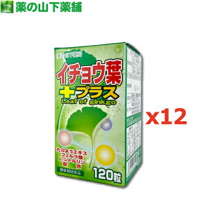 【送料無料】イチョウ葉プラス 120粒【イチョウ葉エキス/いちょう葉エキス/銀杏葉エキス/L-シトルリン/Ginkgo leaf extract】
